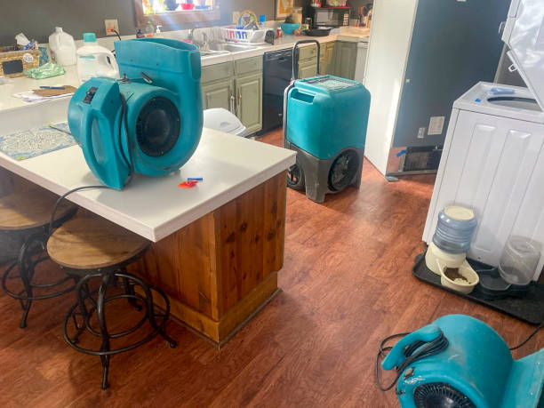 Best 24/7 water damage repair  in Jonesville, NC