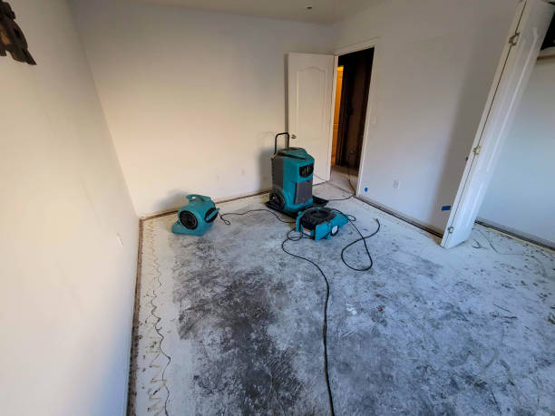 Best Flooded house restoration  in Jonesville, NC