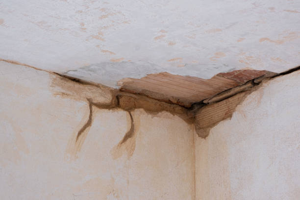 Best 24/7 water damage repair  in Jonesville, NC