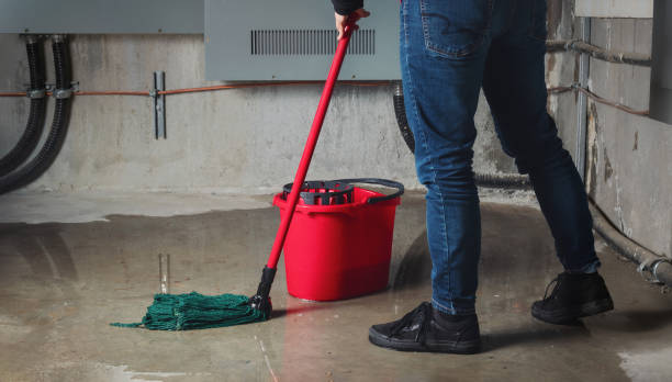 Trusted Jonesville, NC Water damage restoration Experts
