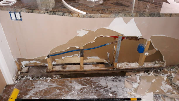 Best Mold removal after water damage  in Jonesville, NC