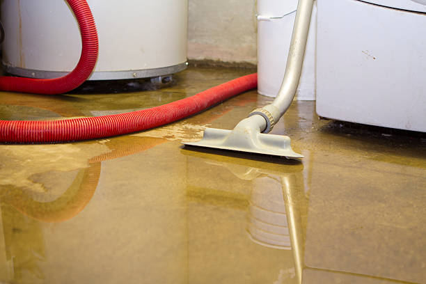 Best Sewage cleanup and water damage restoration  in Jonesville, NC