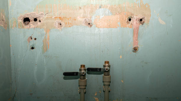 Best Water damage cleanup near me  in Jonesville, NC