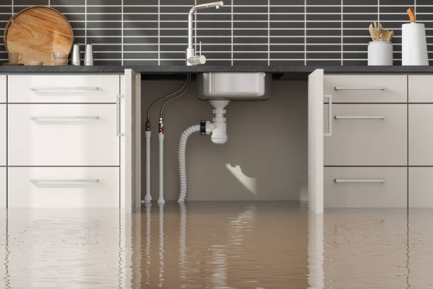 Best Carpet water damage restoration  in Jonesville, NC
