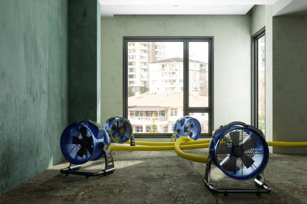 Best Residential water damage restoration  in Jonesville, NC