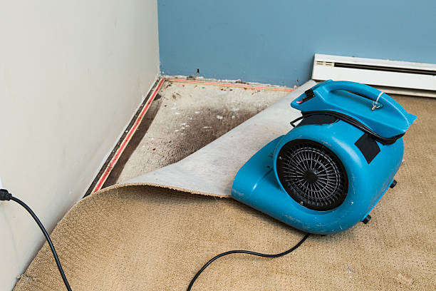 Water damage restoration experts in Jonesville, NC